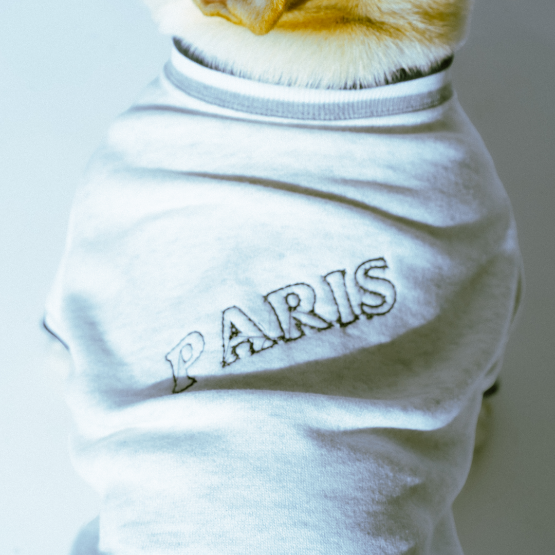 PARIS TEE